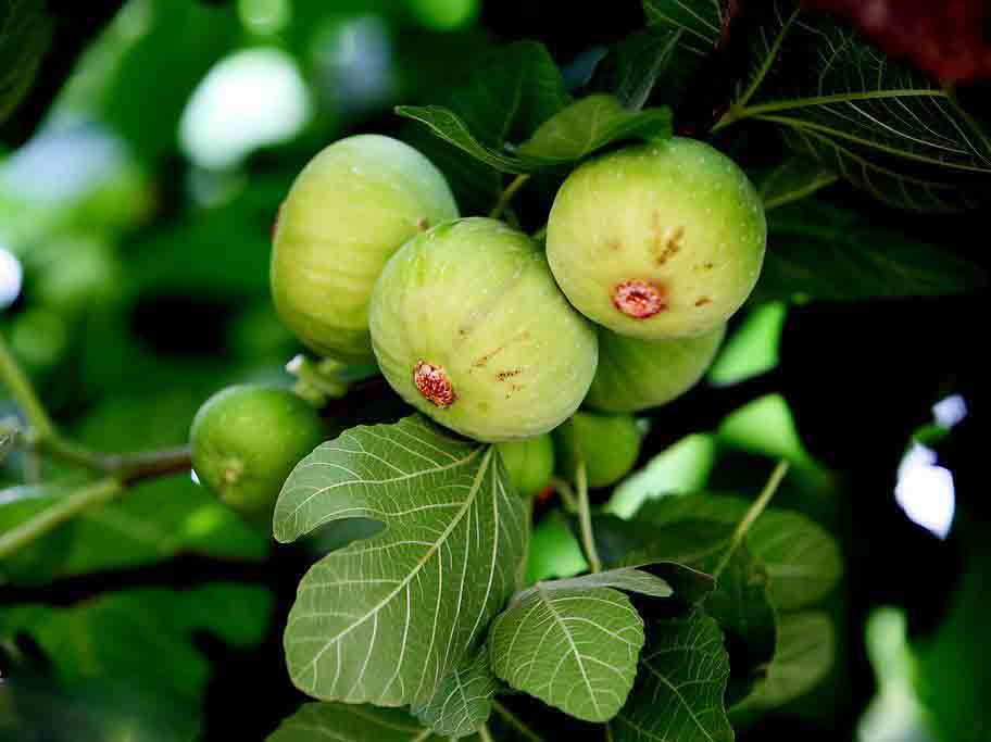 3c6d55fbb2fb43165dc248fb20a4462308f7d355.jpg 3c6d55fbb2fb43165dc248fb20a4462308f7d355.jpg